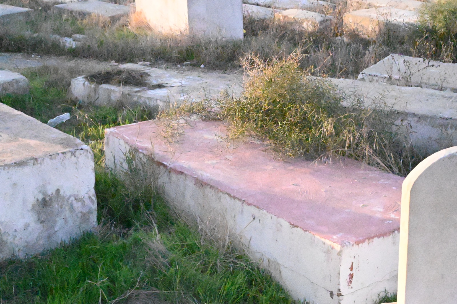 WhatsApp Image 2022-11-24 at 11.41.31 AM.jpeg